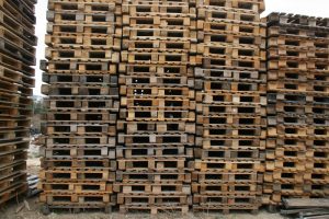 Bayrampaşa Paletçi