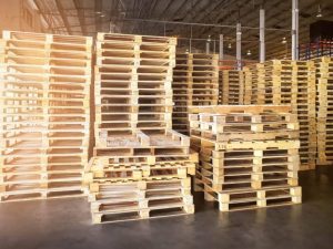 Başakşehir Paletçi