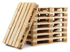 Beylikdüzü Paletçi