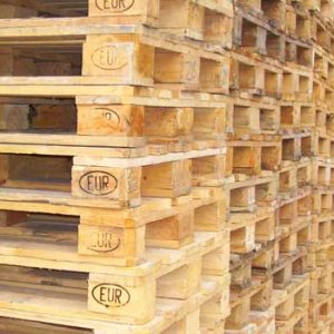 Bayrampaşa Paletçi