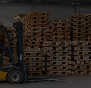 Başakşehir Paletçi